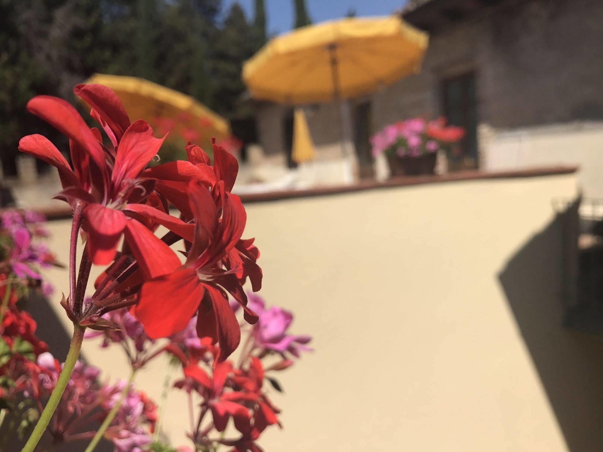 モンテスペルトリCastello Di Fezzanaアパートメント エクステリア 写真